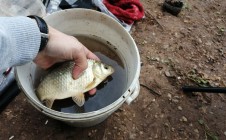 Фото рыбалки в городской округ Октябрьский 10