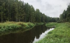 Фото рыбалки в Невьянский городской округ 4