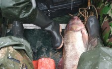Фото рыбалки в Никольское, Енотаевский район 1