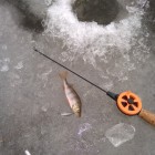 Фото рыбалки в Лещ, Плотва 2