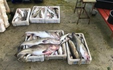 Фото рыбалки в городской округ Александровск 2