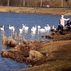 Фото рыбалки в Голавль 0