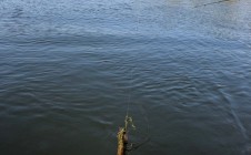 Фото рыбалки в Нуримановский район 3