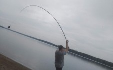 Фото рыбалки в Конаково 5