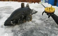 Фото рыбалки в Называевский район 0