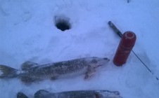 Фото рыбалки в городской округ Октябрьск 6