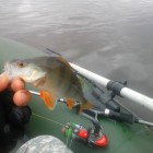 Фото рыбалки в Ерш, Плотва 4
