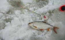 Фото рыбалки в Брянск, городской округ Брянск 4