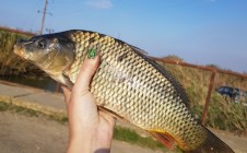 Фото рыбалки в Славянский район 0