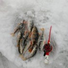 Фото рыбалки в Карась, Карп 2
