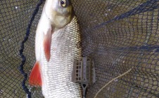 Фото рыбалки в Юркино, Юринский район 5