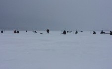 Фото рыбалки в Рыбно-Слободский район 7