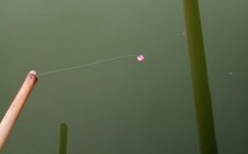Фото рыбалки в Кислица 4