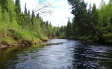 Фото рыбалки в Виноградовский район 10