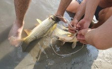 Фото рыбалки в Молдова 2