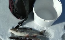 Фото рыбалки в Шляхово 2