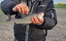 Фото рыбалки в Павлово, Кировский район 1