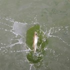 Фото рыбалки в Окунь 1