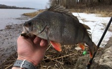 Фото рыбалки в городской округ Тольятти 3