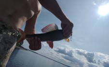 Фото рыбалки в Новый Софпорог 4