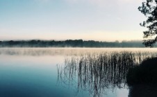 Фото рыбалки в Демидовский район 2