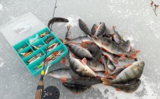 Фото рыбалки в Городчанка 4