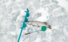 Фото рыбалки в Банное 4
