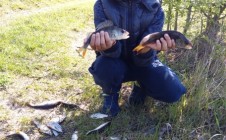 Фото рыбалки в Мокрая Дуброва 0