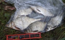 Фото рыбалки в Иваново, городской округ Иваново 1