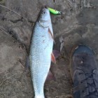 Фото рыбалки в Щука 0