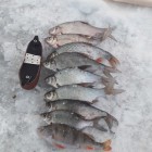 Фото рыбалки в Окунь, Судак 2