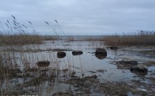 Фото рыбалки в Ладожское Озеро 1