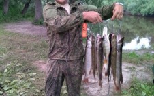 Фото рыбалки в Усть-Пристанский район 0