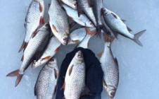 Фото рыбалки в Черкассы, Черкасский городской совет 7