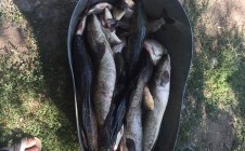 Фото рыбалки в Атбасарский район 2
