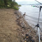 Фото рыбалки в Плотва 2