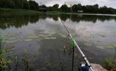 Фото рыбалки в городской округ Стародуб 0