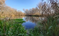 Фото рыбалки в Россошь 7