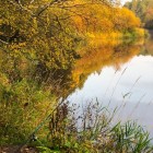 Фото рыбалки в Окунь, Судак 0