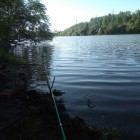 Фото рыбалки в Форель озерная 4