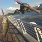 Фото рыбалки в Густера, Лещ, Плотва 3