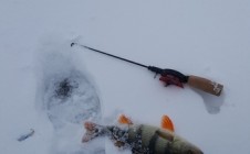 Фото рыбалки в СНТ Цементник-Газовик 8