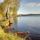 Фото рыбалки в Окунь, Судак 1