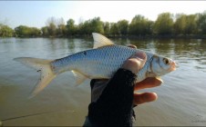Фото рыбалки в Астраханская область 8