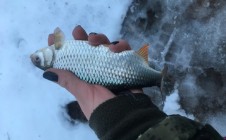 Фото рыбалки в Удомельский городской округ 2