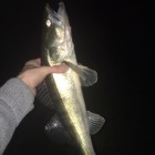 Фото рыбалки в Лещ 0