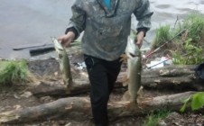 Фото рыбалки в Сюмсинский район 1