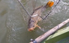 Фото рыбалки в Елунино 2