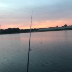 Фото рыбалки в Щука, Окунь 6