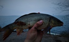 Фото рыбалки в Нововоронеж 6